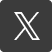 X social icon